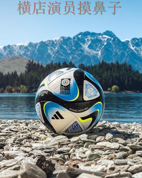 FIFA World Cup 2026背景下的世界杯投注平台合集实测对比与用户反馈直播解析